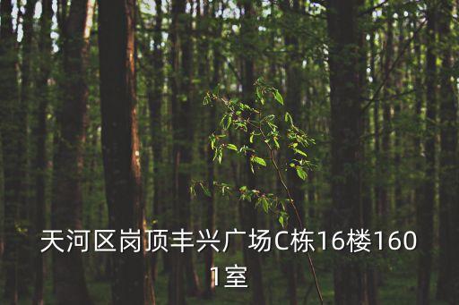 天河區崗頂豐興廣場C棟16樓1601室