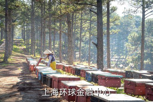 上海環球金融中心