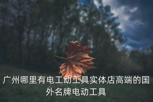廣州哪里有電工動工具實體店高端的國外名牌電動工具
