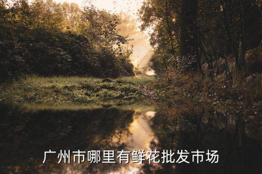 廣州龍溪花卉批發(fā)市場，廣州市哪里有鮮花批發(fā)市場