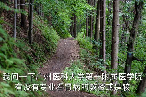 我問一下廣州醫科大學第一附屬醫學院有沒有專業看胃病的教授或是較