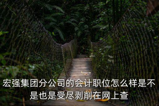 宏強集團分公司的會計職位怎么樣是不是也是受盡剝削在網上查