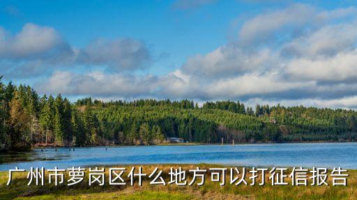 廣州市蘿崗區什么地方可以打征信報告