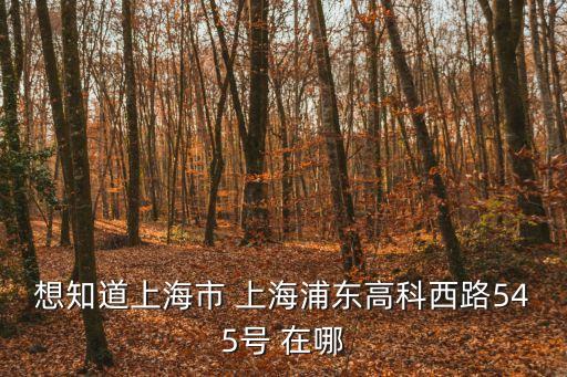 想知道上海市 上海浦東高科西路545號 在哪