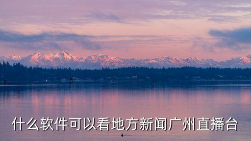什么軟件可以看地方新聞廣州直播臺