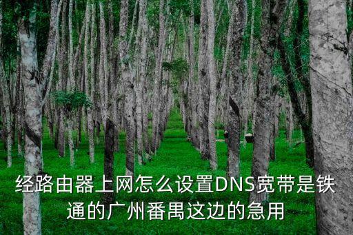 經路由器上網怎么設置DNS寬帶是鐵通的廣州番禺這邊的急用