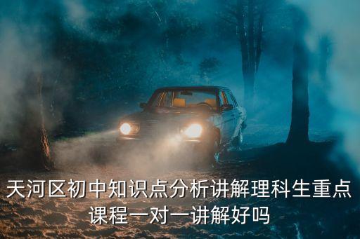 廣州華埔學堂知識點，天河區(qū)初中知識點分析講解理科生重點課程一對一講解好嗎