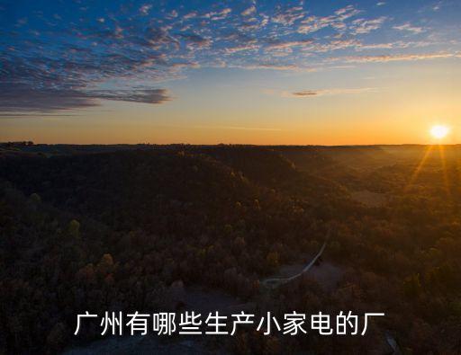廣州有哪些生產小家電的廠