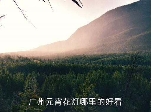 廣州哪里有燈籠好玩，中秋廣州那里有花燈看