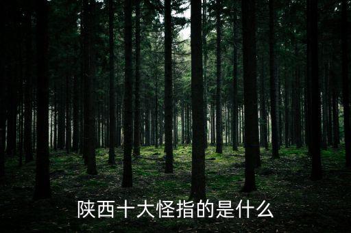 陜西十大怪指的是什么