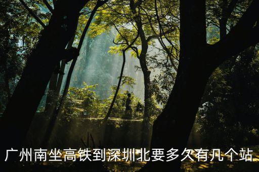 廣州南站到深圳北站有幾個站點(diǎn)，深圳北一廣州南高鐵有幾個站