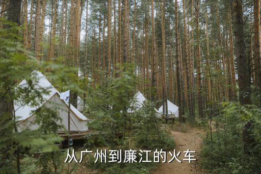 廣州到廉江火車站最早幾點，廣州省站到廉江市