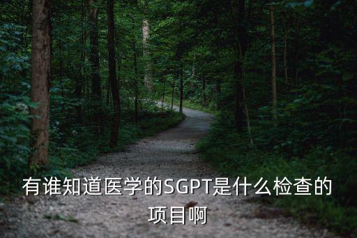 sgpt，有誰知道醫(yī)學(xué)的SGPT是什么檢查的項目啊
