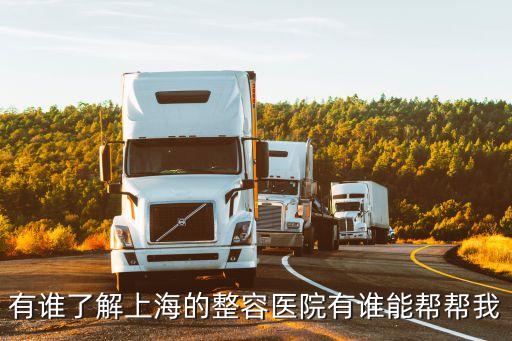 上海市 整容的，有誰了解上海的整容醫院有誰能幫幫我
