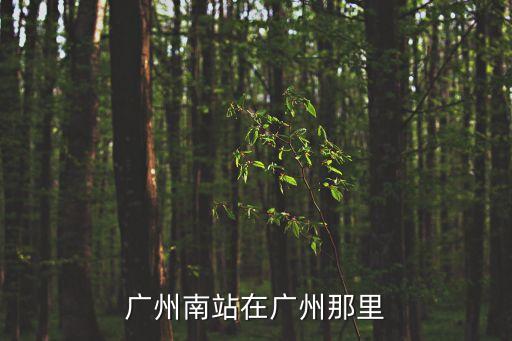 廣州南站在廣州那里