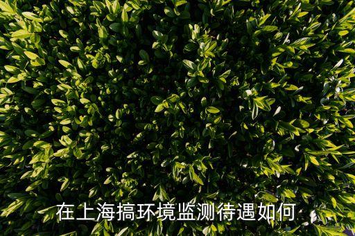 上海市環(huán)境保護中心招聘，上海環(huán)評招聘的提問