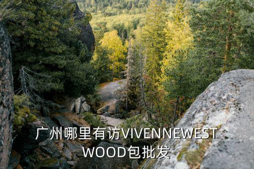 廣州哪里有訪VIVENNEWESTWOOD包批發