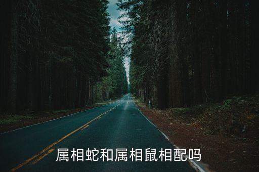 屬蛇和屬鼠的合不合，屬相蛇和屬相鼠相配嗎