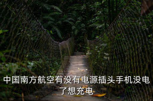 廣州南方航空座位充電插口，請問南方航空CZ399機型波音77W的超級經濟艙里有USB充電口嗎