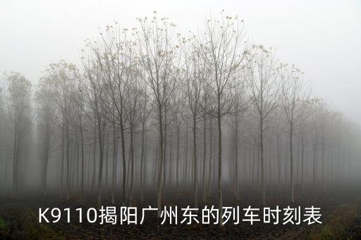 K9110揭陽廣州東的列車時刻表
