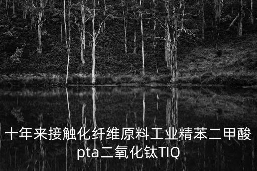十年來接觸化纖維原料工業精苯二甲酸pta二氧化鈦TIQ