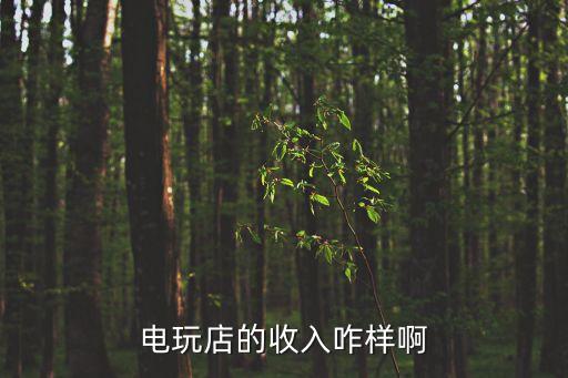 廣州電玩街機(jī)銷售工資，有沒有知道廣州或深圳電玩城機(jī)修每月平均工資是多少加上各種補(bǔ)