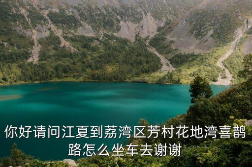 你好請問江夏到荔灣區芳村花地灣喜鵲路怎么坐車去謝謝