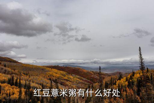 薏米紅豆粥的功效，薏米紅豆粥的功效