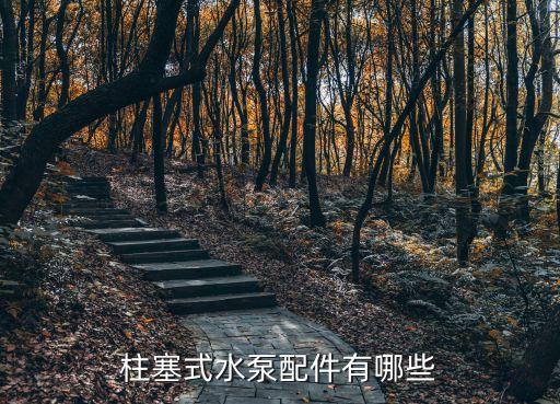 柱塞式水泵配件有哪些
