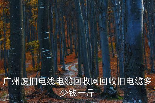 廣州白云舊電纜回收正規(guī)推薦，廣州廢舊電線電纜回收網(wǎng)回收舊電纜多少錢一斤