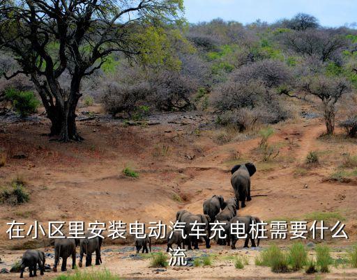公共充電樁流程廣州，電動汽車充電樁怎么申請安裝