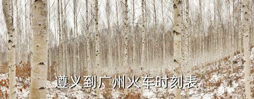 遵義到廣州火車時(shí)刻表