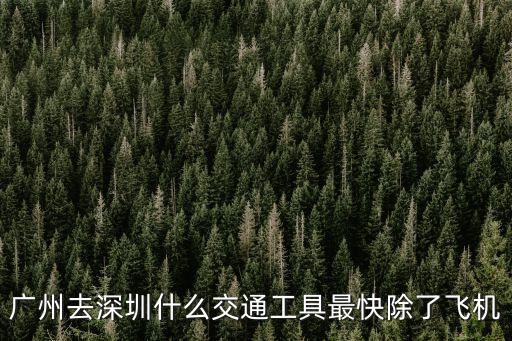 廣州去深圳什么交通工具最快除了飛機