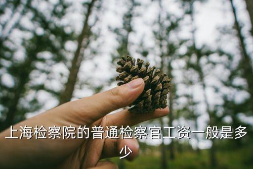 上海檢察院的普通檢察官工資一般是多少