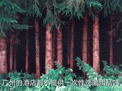 廣州星級酒店提供牙刷，酒店一般有沒有牙膏等洗漱廣州
