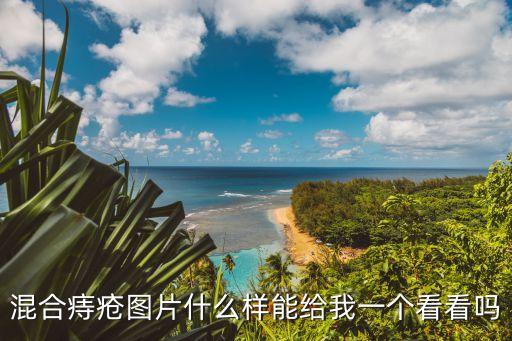 混合痔瘡圖片什么樣能給我一個看看嗎