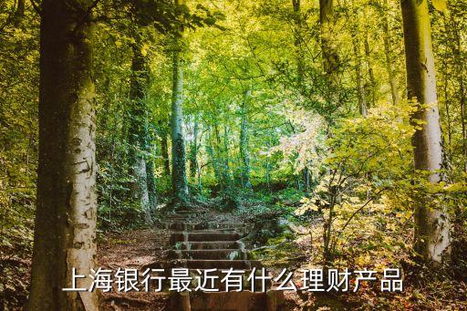 上海市有哪些理財產品，上海理財產品怎么選擇好給點意見吧