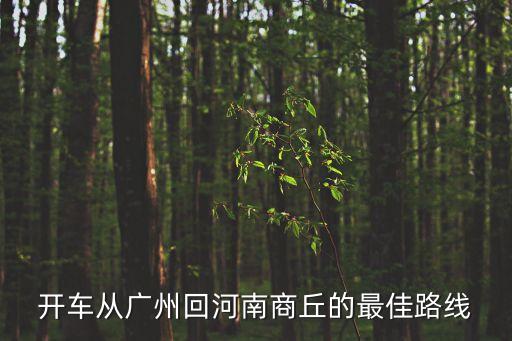現(xiàn)在廣州回商丘的路況，開車從廣州回河南商丘的最佳路線