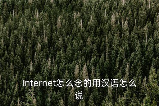 Internet怎么念的用漢語怎么說