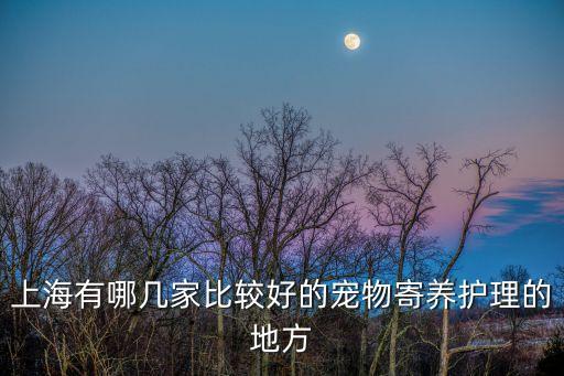 上海有哪幾家比較好的寵物寄養護理的地方