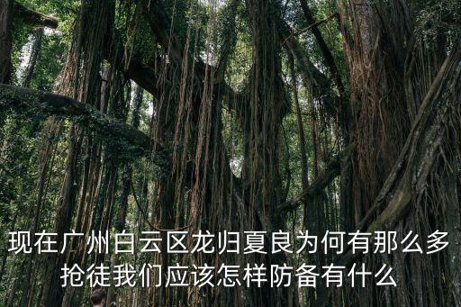 現(xiàn)在廣州白云區(qū)龍歸夏良為何有那么多搶徒我們應該怎樣防備有什么
