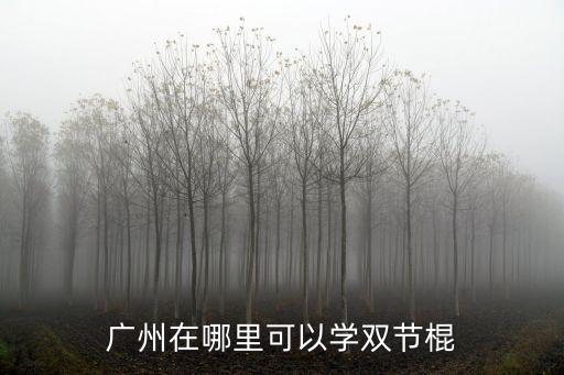 廣州雙節(jié)棍培訓(xùn)中心，廣州在哪里可以學(xué)雙節(jié)棍