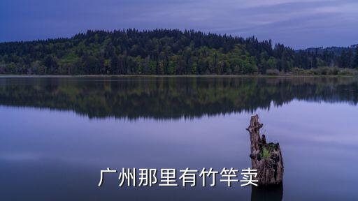 廣州那里有竹竿賣(mài)