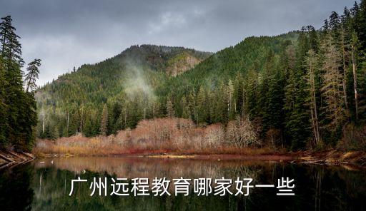 廣州遠(yuǎn)程教育哪家好一些
