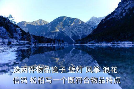 可以正衣冠，選兩件物品鏡子 壁燈 風箏 浪花 信鴿 松柏寫一個既符合物品特點