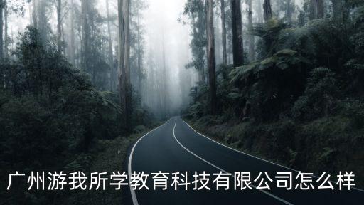 廣州游我所學教育科技有限公司怎么樣