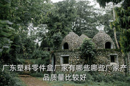 廣東塑料零件盒廠家有哪些哪些廠家產(chǎn)品質(zhì)量比較好