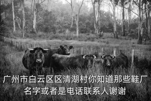廣州裕琪凌鞋業(yè)，哪里有mengqianlu廣州鞋