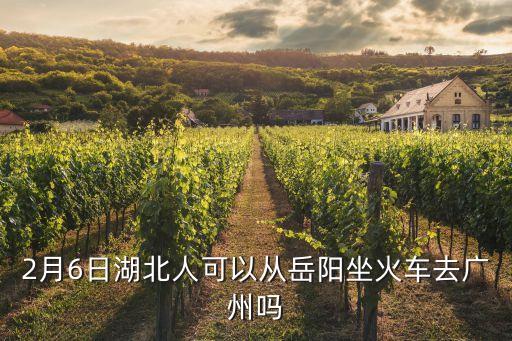 2月6日湖北人可以從岳陽坐火車去廣州嗎