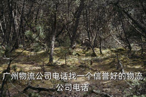 廣州市榮祥運輸服務，廣州物流公司電話找一個信譽好的物流公司電話